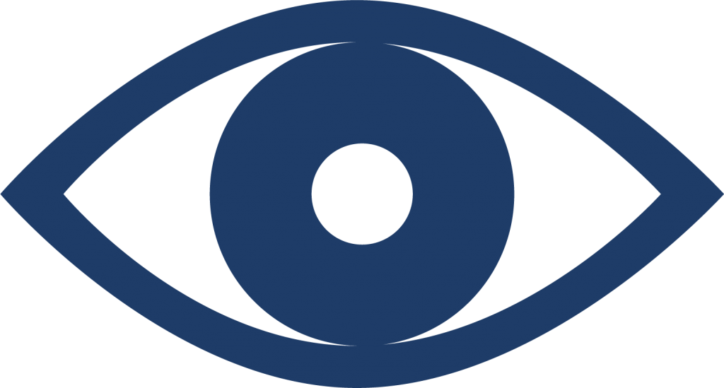 vigilancia icono